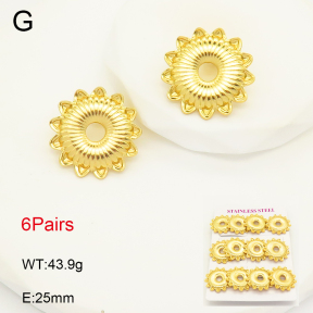 2E2005767vhmo-446  Stainless Steel Earrings