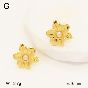 2E3003355aajo-446  Stainless Steel Earrings