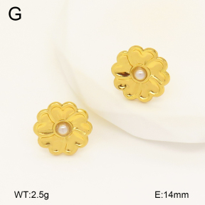 2E3003356aajo-446  Stainless Steel Earrings