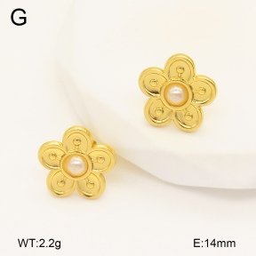 2E3003357aajo-446  Stainless Steel Earrings