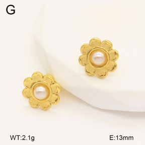 2E3003358aajo-446  Stainless Steel Earrings