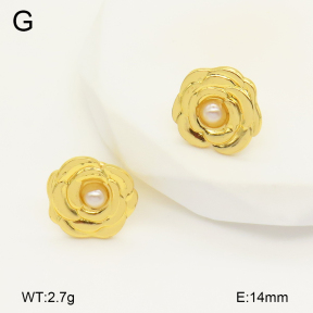 2E3003359aajo-446  Stainless Steel Earrings