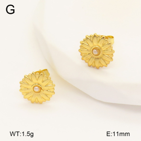 2E3003360aajo-446  Stainless Steel Earrings