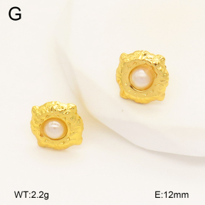 2E3003361aajo-446  Stainless Steel Earrings