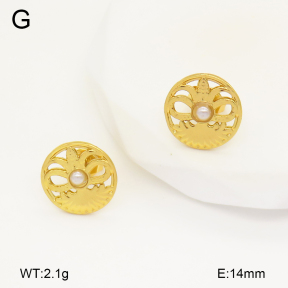 2E3003362aajo-446  Stainless Steel Earrings