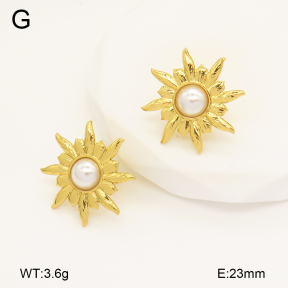2E3003364aajo-446  Stainless Steel Earrings
