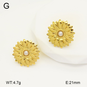 2E3003366aajo-446  Stainless Steel Earrings