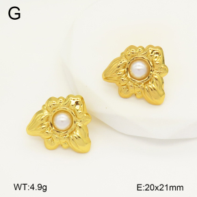 2E3003367aajo-446  Stainless Steel Earrings