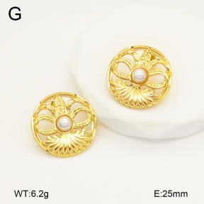 2E3003368aajo-446  Stainless Steel Earrings