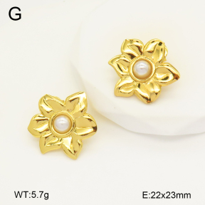 2E3003369aajo-446  Stainless Steel Earrings