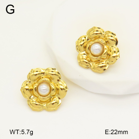 2E3003370aajo-446  Stainless Steel Earrings