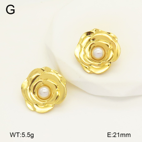 2E3003371aajo-446  Stainless Steel Earrings
