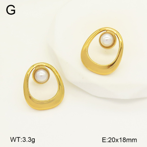 2E3003372aajo-446  Stainless Steel Earrings