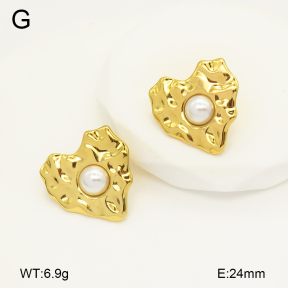 2E3003373aajo-446  Stainless Steel Earrings