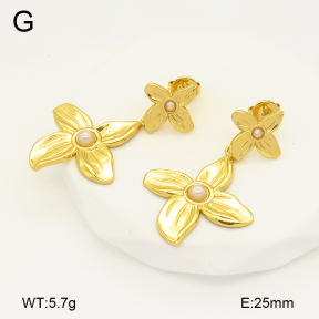2E3003375aakl-446  Stainless Steel Earrings