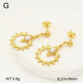 2E3003378aakl-446  Stainless Steel Earrings