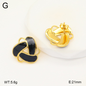 2E3003433baka-368  Stainless Steel Earrings