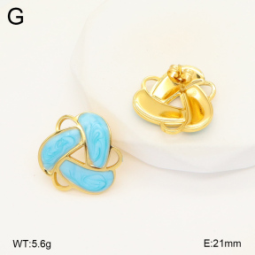 2E3003434baka-368  Stainless Steel Earrings