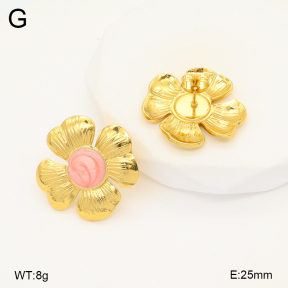 2E3003446baka-368  Stainless Steel Earrings