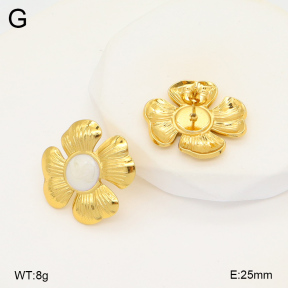 2E3003447baka-368  Stainless Steel Earrings