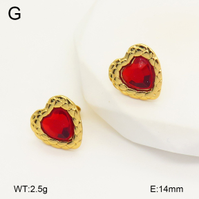 2E4004263aakl-446  Stainless Steel Earrings