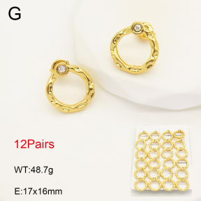 2E4004264alka-446  Stainless Steel Earrings