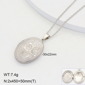 2N2005766aajl-452  Stainless Steel Necklace