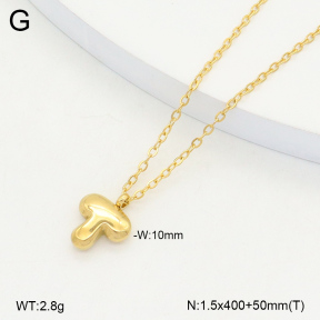 2N2005849aajo-642  Stainless Steel Necklace
