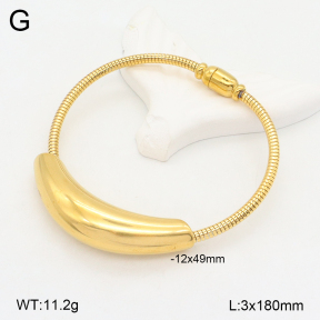 2B2004082bbov-749  Stainless Steel Bracelet
