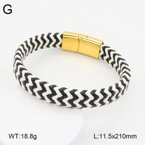 2BA000364vbpb-760  Stainless Steel Bangle