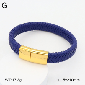 2BA000375vbpb-760  Stainless Steel Bangle