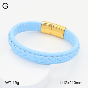 2BA000384vbpb-760  Stainless Steel Bangle