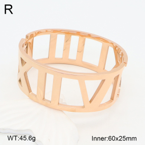 2BA201989bhva-749  Stainless Steel Bangle