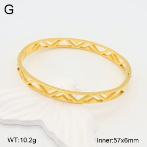 2BA201990bbov-749  Stainless Steel Bangle