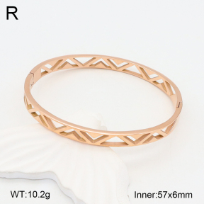 2BA201991bbov-749  Stainless Steel Bangle