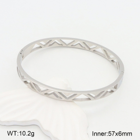 2BA201992vbnb-749  Stainless Steel Bangle