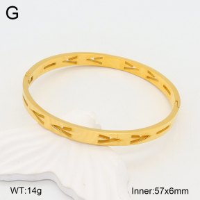 2BA201993bbov-749  Stainless Steel Bangle