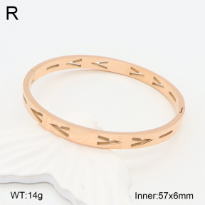 2BA201994bbov-749  Stainless Steel Bangle