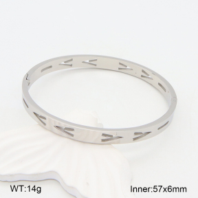 2BA201995vbnb-749  Stainless Steel Bangle