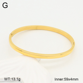 2BA201996ablb-749  Stainless Steel Bangle