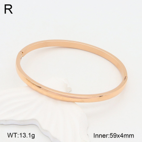 2BA201997ablb-749  Stainless Steel Bangle