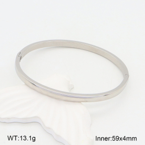 2BA201998baka-749  Stainless Steel Bangle