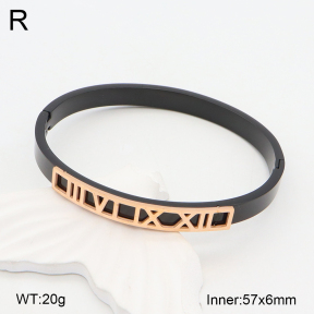 2BA201999vbnb-749  Stainless Steel Bangle