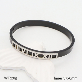 2BA202000vbmb-749  Stainless Steel Bangle