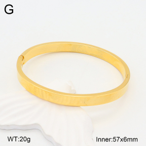 2BA202001ablb-749  Stainless Steel Bangle