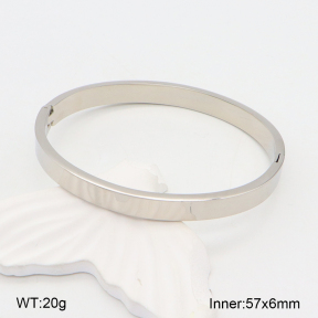 2BA202002baka-749  Stainless Steel Bangle