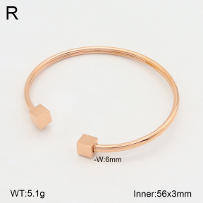 2BA202003ablb-749  Stainless Steel Bangle