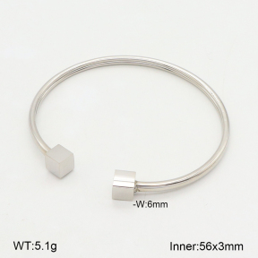 2BA202004baka-749  Stainless Steel Bangle