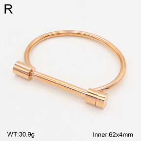 2BA202005vbpb-749  Stainless Steel Bangle