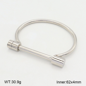 2BA202006bbov-749  Stainless Steel Bangle